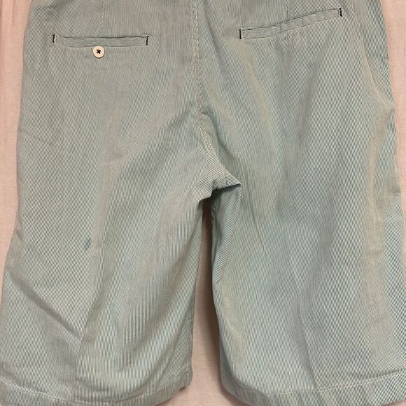 Alexander Julian Colours Mens size 34 shorts green white striped - Picture 3 of 6